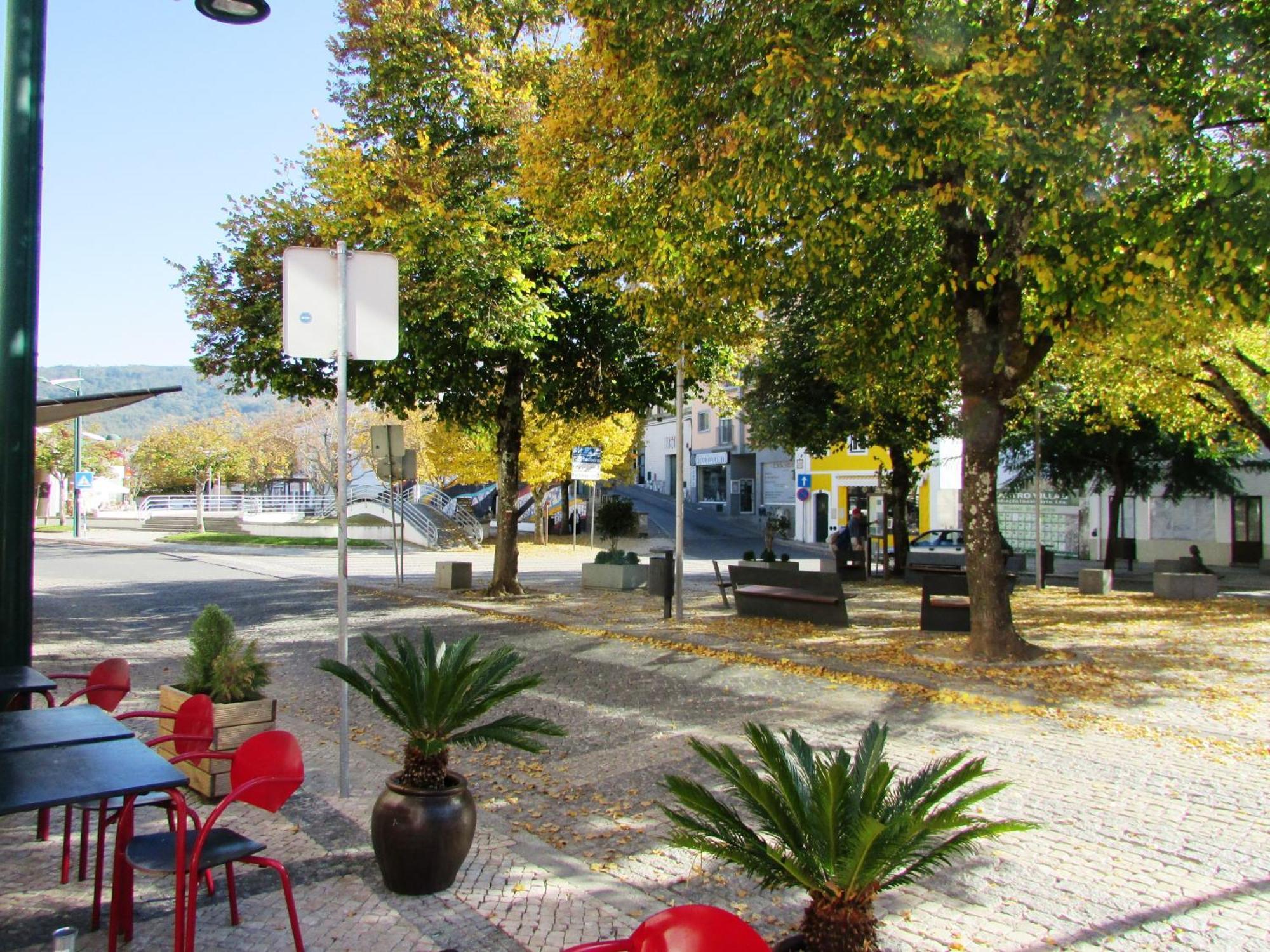Casa Malva - Traditional Townhouse Apartment Monchique Εξωτερικό φωτογραφία